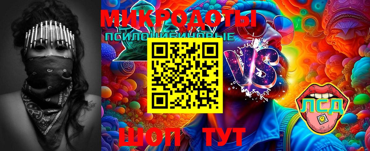 Псилоцибиновые грибы Psilocybe Карталы